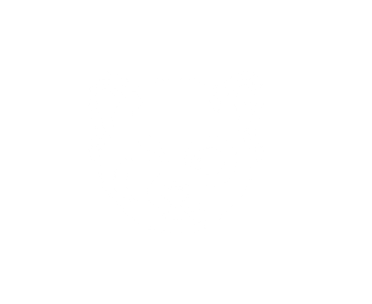 Animal Print logo