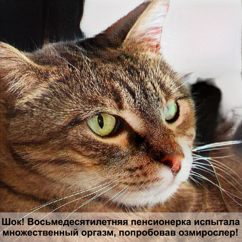 как назвать черную кошку оригинально