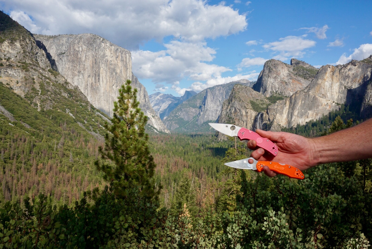 9DFF8902-BFCC-4A00-A592-0F1851B3C2E5