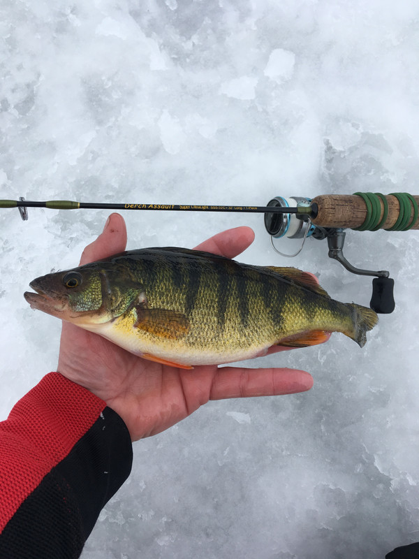 8E34E3E7-C1BF-4E8F-A11C-C9F4DF97ADC6