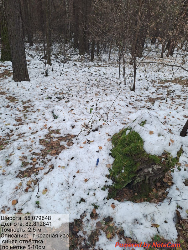 photo 2025 10 23 16 51 34 2