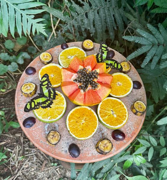 В джазе только девушки или аргентинско-бразильский калейдоскоп В джазе только девушки или аргентинско-бразильский калейдоскоп