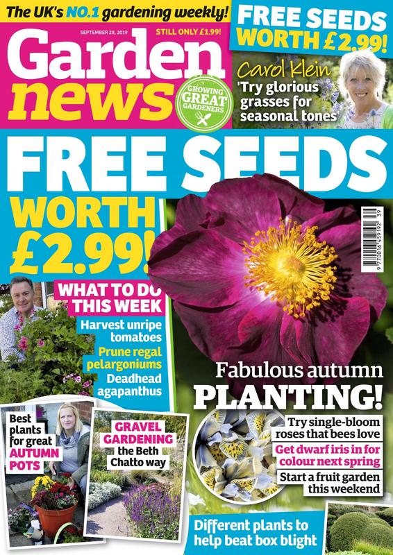 Garden-News-28-September-2019.jpg