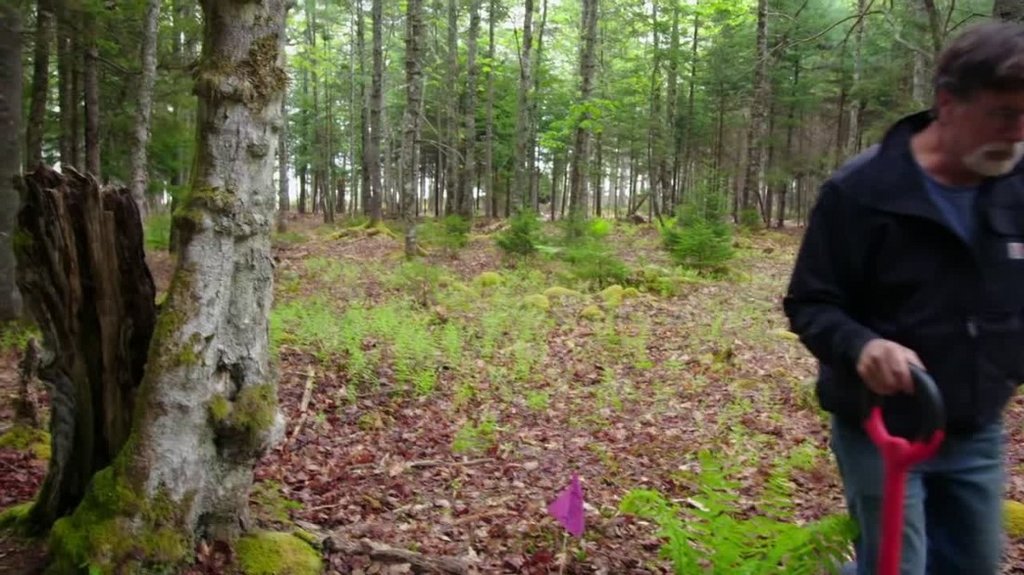 [Image: njf2qf8wkp74.jpg]