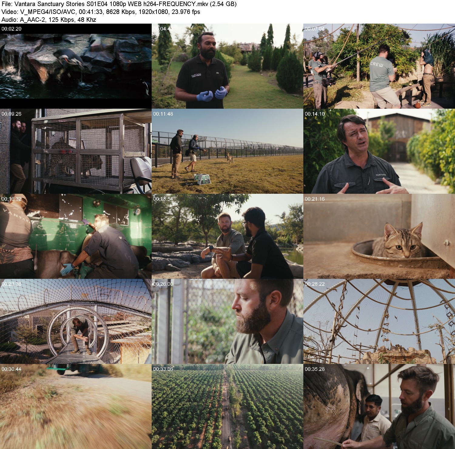 [Image: c7hampzjo532.jpg]