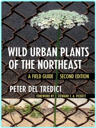 [Image: oedi6y29wpe7.png]