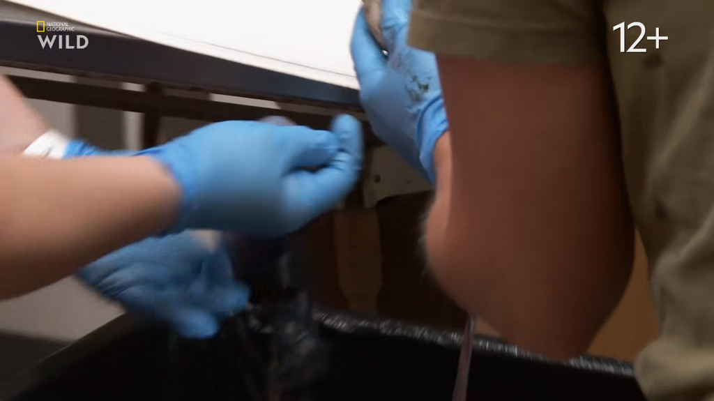 [Image: p65xffvf93dc.png]