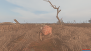 ssq-user-08-30-24-18-50-11-marsh.png