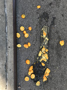 7D204C6F-E801-40B2-9D77-F65CB8C9BC87