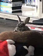 22D3E62B-09DC-416B-A88A-4CF0974D8A4D