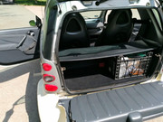 345162603_622509942788405_2527267128654174584_n