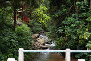 DSC01368
