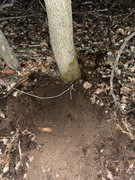 EB438539-C117-44C8-98A0-58A1E92B637E