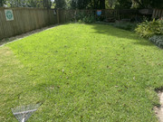 IMG-9461