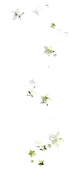 Stars3