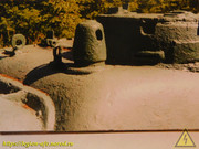 DSCN3600