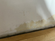 IMG-6518