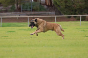 IMG-5111