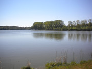 DSCN3608.jpg