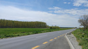 IMG-20230429-125529180.jpg