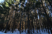 IMG-1552x