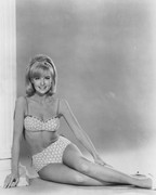 shelley-fabares-c04