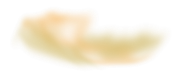 0-1c0af4-631c76a6-orig
