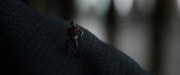 Avengers Endgame (2019) .mkv FULL HD 1080p DTS ENG E-AC3 ITA AC3 ENG ITA SUBS Avengers Endgame (2019) .mkv FULL HD 1080p DTS ENG E-AC3 ITA AC3 ENG ITA SUBS