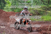 IMG-6319