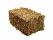 Straw - bale