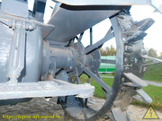 DSCN5104