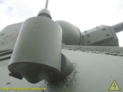 IMG-6312