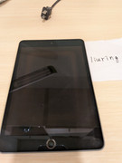 PXL_20250619_105412432_Original