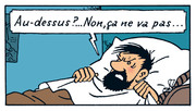 haddock-dessus.jpg