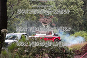 IMG-6613
