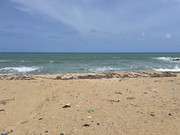 Ada beachfront property showing Atlantic Ocean views and pristine coastline