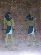 Ленивый Египет (Хургада, Луксор, Каир), декабрь 2025 - январь 2026