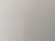 108216145-1147445605624602-2479933424781934660-n.jpg