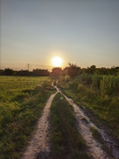 PXL_20210721_194124714