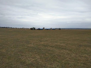 41334935_200672150688821_1749215264831963136_n