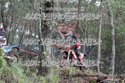 IMG-6579