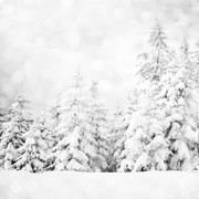 Christmas-Dreams-Papers-5