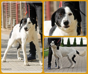 Be-Funky-collage-17.jpg&key=b3ea11d9769f