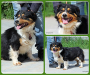 Be-Funky-collage-15.jpg&key=32014b0092c3