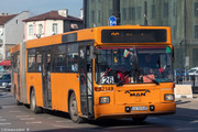 IMG-1429