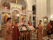 IMG20261010182502