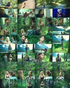 Wilderness - gallery 2