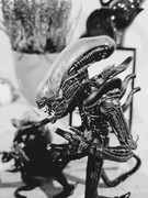 [Obrazek: 20241025-181024.jpg]