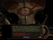 Bo-T-dialog-portrait.png