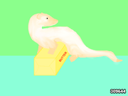 2024_05_15_0gd_Kleki